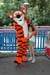 DisneyPhotoImage67